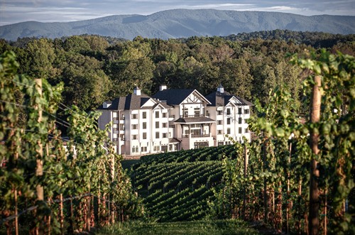 Nicewonder Farm & Vineyards