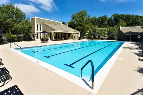 Jr Size Swimming Pool 