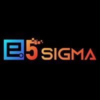 e5 Sigma LLC