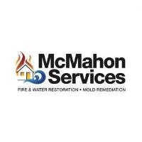 Multi-Chamber Mixer - McMahon Services