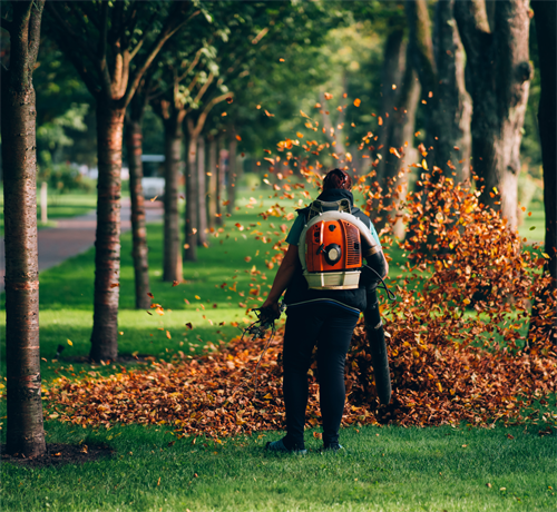 Fall Yard Cleanup & Leaf Removal