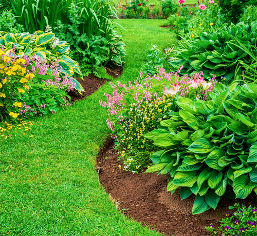 Landscaping Design & Installation
