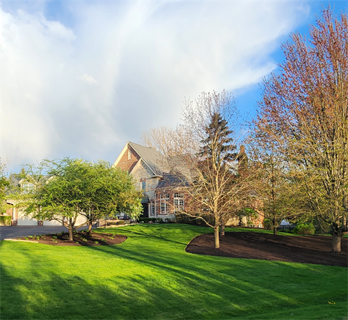 Lawn Mowing, Maintenance & Restoration