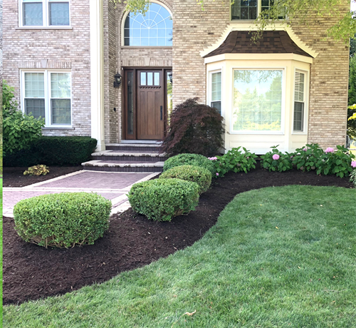 Custom Landscaping & Shrub Planting