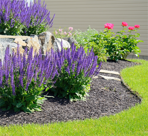 Landscape Design & Planting