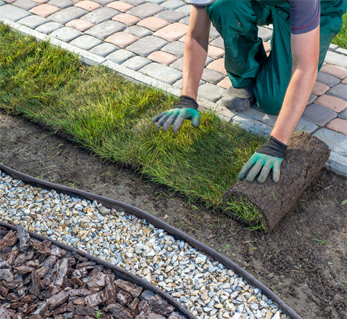 Sod Installation & Lawn Renovation