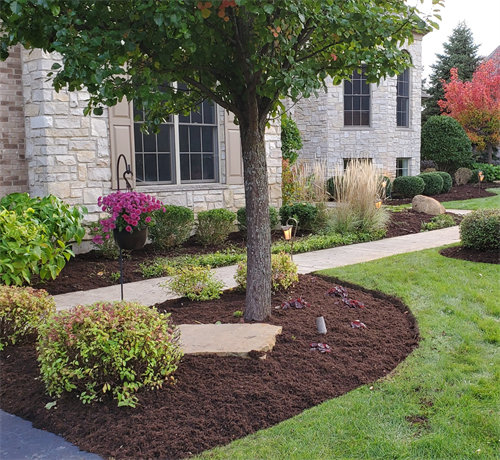 Landscaping Installation