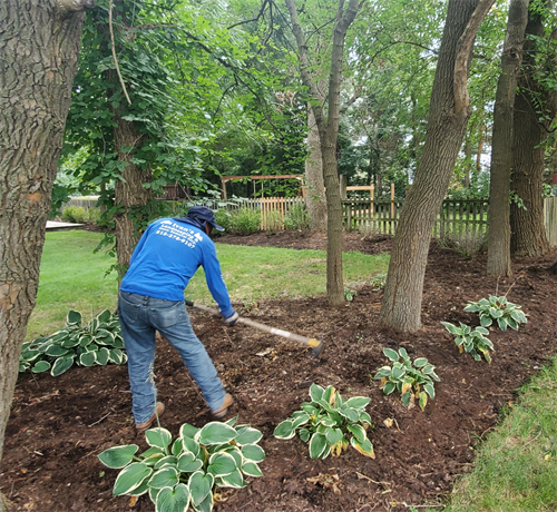 Spring Cleanup & Mulching