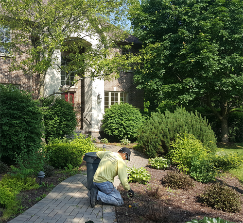 Landscaping & Lawn Maintenance