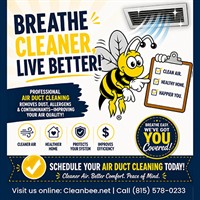 Clean Bee Cleaning & Protection - Lakemoor
