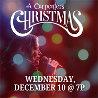 A Carpenters Christmas