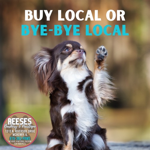 Gallery Image 549560601_122246139284278870_3272251716728100171_n.jpg