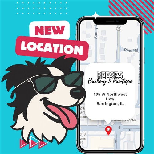 Gallery Image 606405110_122260389884278870_4549050599993175557_n.jpg