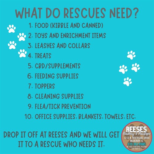 Gallery Image 618513085_122262952856278870_2184950873501765398_n.jpg