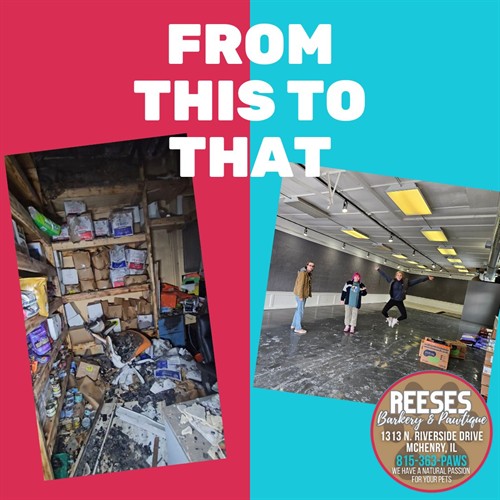 Gallery Image 621184617_122263013678278870_4799720332688248833_n.jpg