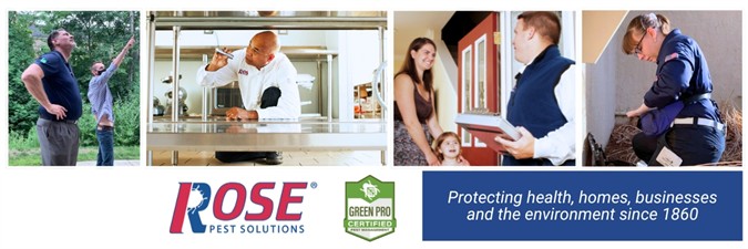 Rose Pest Solutions Rose Pest Solutions