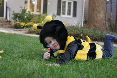 Henry is the cutest bee you'll ever see. :)