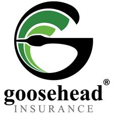 Underwood & Draegert - Goosehead Insurance