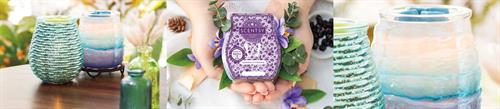 Warmers & Wax: Scentsy warmers are a beautiful and safe way to enjoy amazing fragrance with our premium-quality Scentsy Bars.