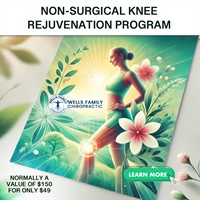 Wells Family Chiropractic - McHenry