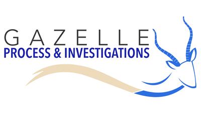 Gazelle Process & Investigations