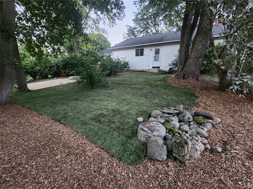Backyard Renovation - Mchenry