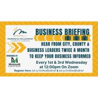 Chamber Business Briefing