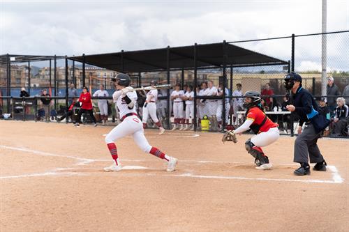 MSJC Eagles Softball