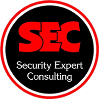 Security Expert Consulting