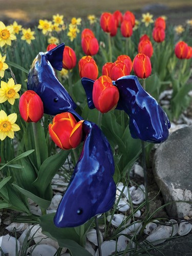 Gallery Image Image_Social_Koi.jpg