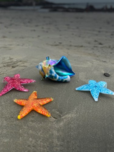 Gallery Image Image_Social_Starfish.jpg