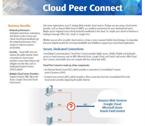 Cloud Peer Connect