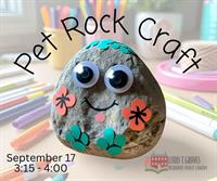PET ROCK CRAFT
