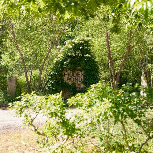 Gallery Image Untitled_design_(19).jpg