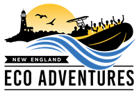 New England EcoAdventures - Kennebunk