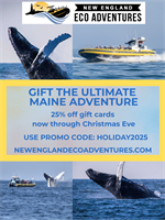 New England EcoAdventures - Kennebunk