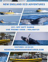 25% OFF GIFT CARD PROMOTION