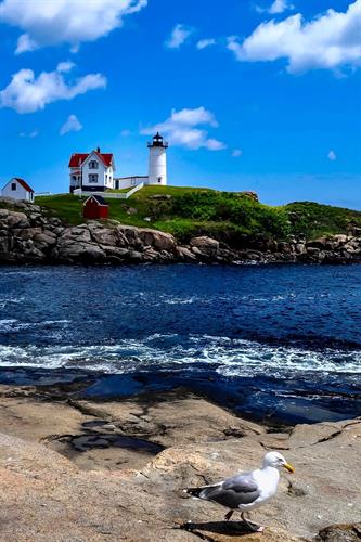 Gallery Image Nubble_X8.jpg