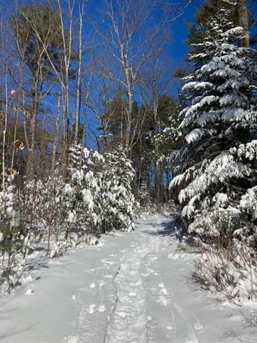 A winter wonderland in which to cross country or snowshoe