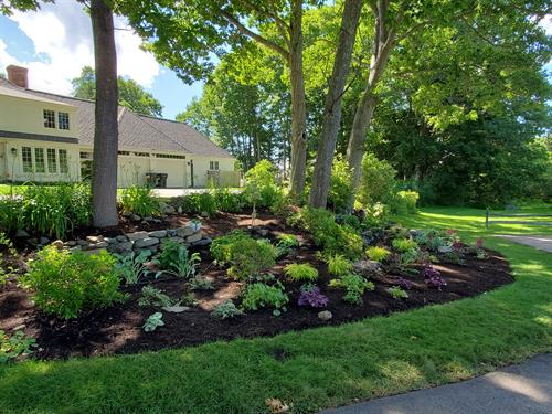 Client's shade garden just planted