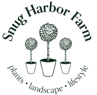 Paper Flower Workshop & Afternoon Tea @ Snug Harbor Farm