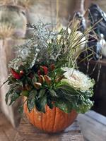 Planting Plants in Pumpkins Workshop @ Snug Harbor Farm