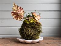 Kokedama & Kocktails Workshop @ Snug Harbor Farm