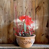 Winter Bulb Planter Workshop @ Snug Harbor Farm