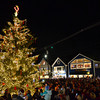 Prelude Tree Lighting