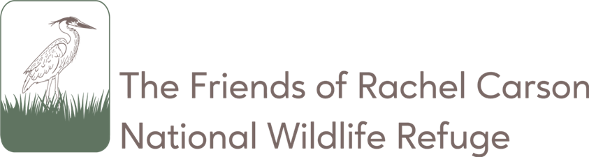 Friends of Rachel Carson National Wildlife Refuge