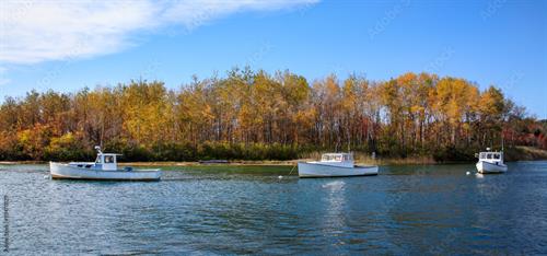 Boat in Harbor 