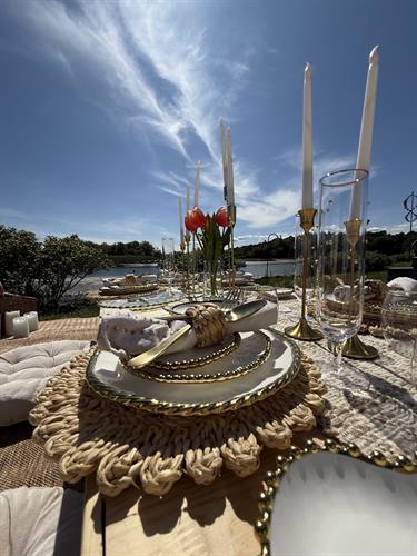 Gallery Image July_Picnic_Riverside_Placeseeting.jpeg