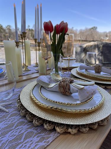Luxury Picnic Placesetting 
