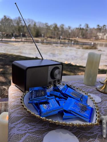 Luxury Picnic & Music 